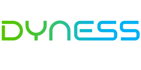 dyness